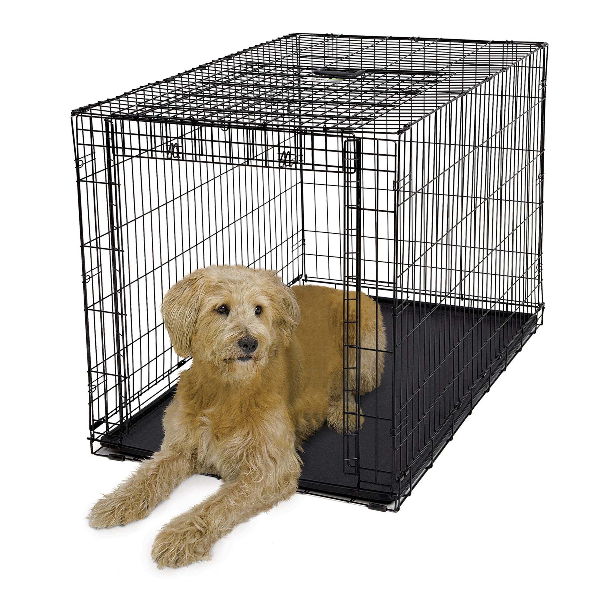 petsmart plastic dog crate