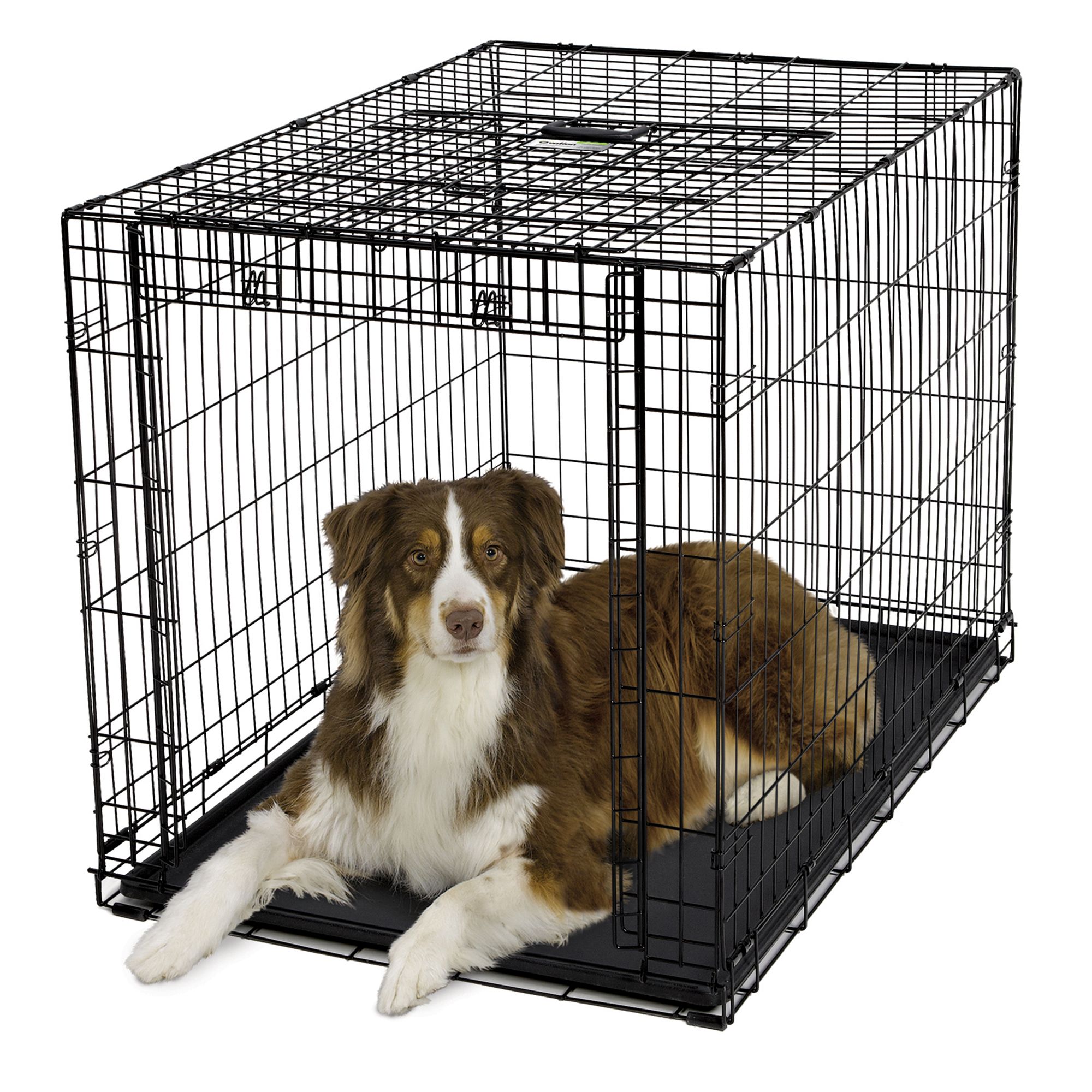 Midwest Ovation Dog Crate Dog Carriers Crates Petsmart