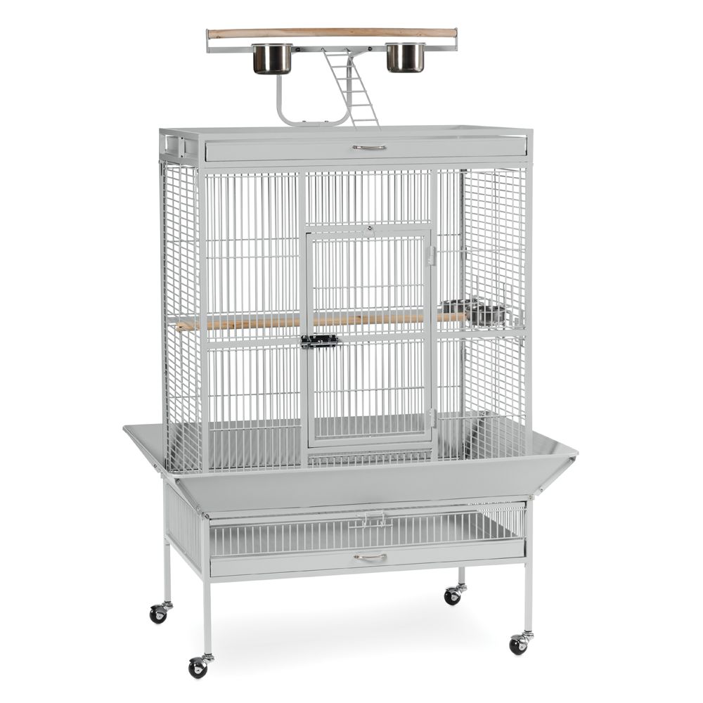 Petsmart best sale budgie cages