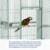 Prevue Pet Products Wrought Iron Select Bird Cage image thumbnail 5