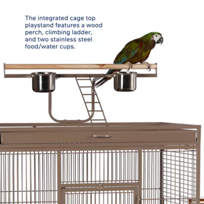 Prevue Pet Products Wrought Iron Select Bird Cage - Image 4