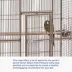 Prevue Pet Products Wrought Iron Select Bird Cage image thumbnail 5