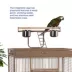 Prevue Pet Products Wrought Iron Select Bird Cage image thumbnail 5