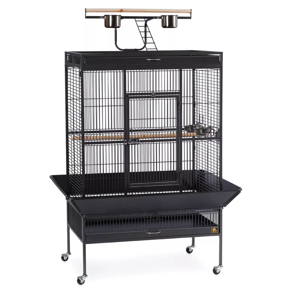 Prevue Pet Products Wrought Iron Select Bird Cage