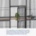 Prevue Pet Products Wrought Iron Select Bird Cage image thumbnail 5