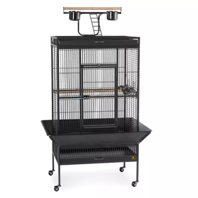 Product Prevue Pet Products Wrought Iron Select Bird Cage