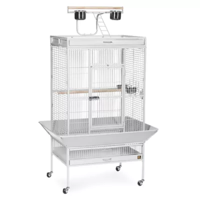 Product Prevue Pet Products Wrought Iron Select Bird Cage