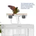 Prevue Pet Products Wrought Iron Select Bird Cage image thumbnail 4