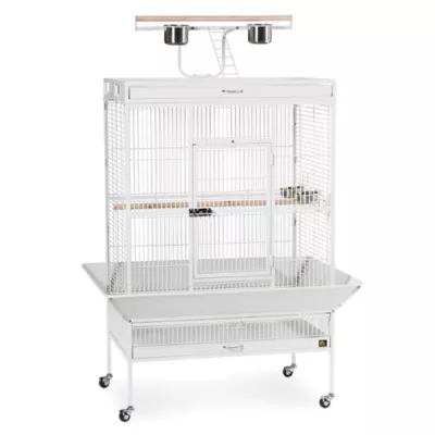 Product Prevue Pet Products Wrought Iron Select Bird Cage