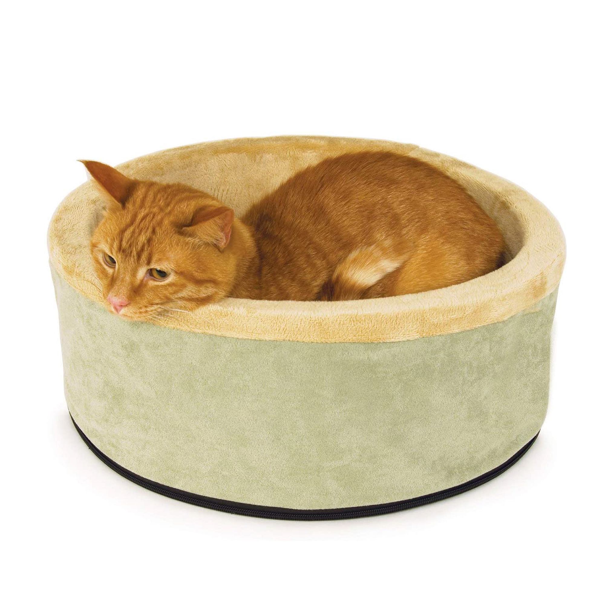 Heated cat beds on sale petsmart