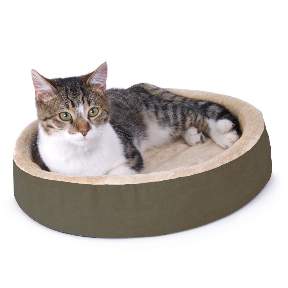 Heated cat cheap beds petsmart