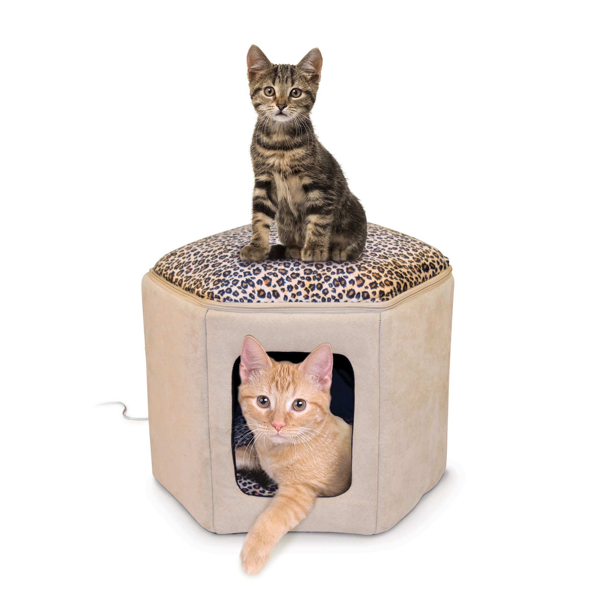 Heated cat 2025 beds petsmart