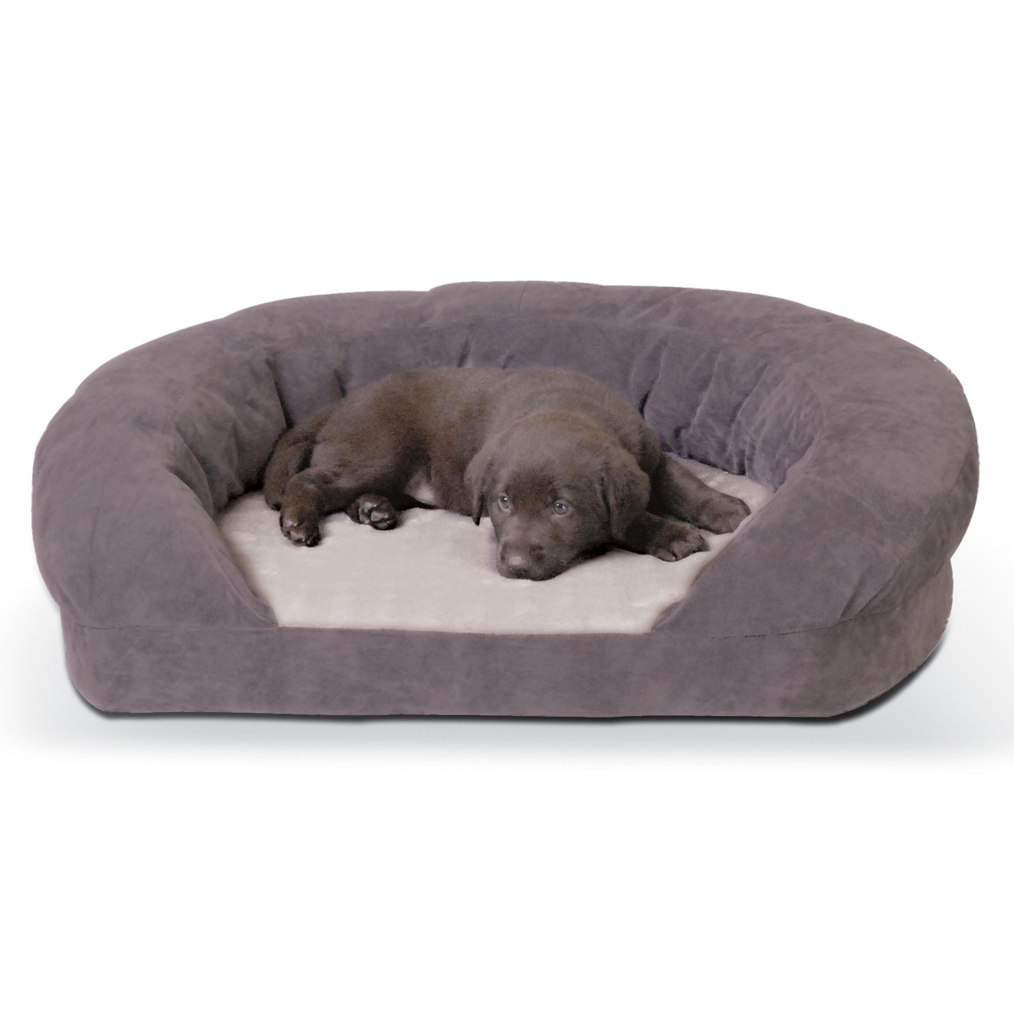 Petsmart memory outlet foam dog bed