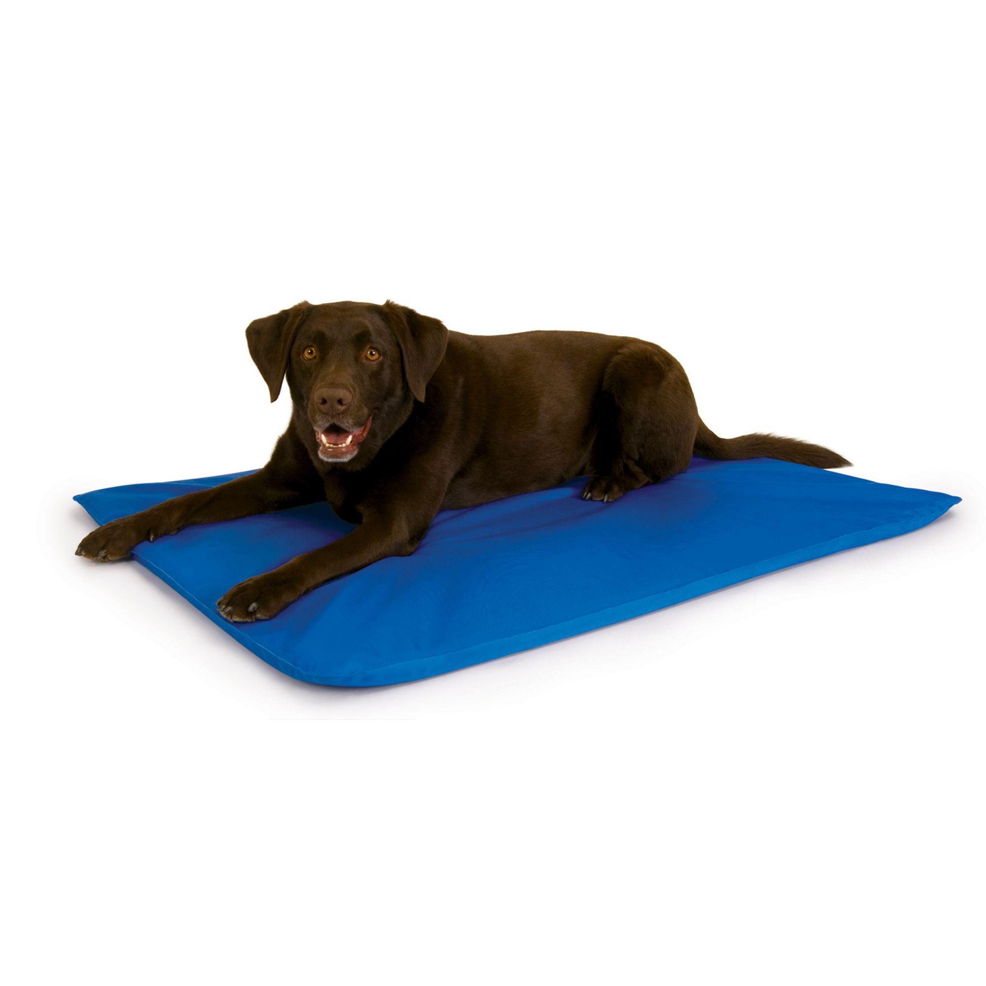 Dog Cooling Mat, Pet Cooling Pads for Dogs - Dog Mats Dog Accessories Dog  Cooling Vest to Help Your Pet Stay Cool - Avoid Overheating, Ideal for Home  & Travel (Blue Cooling