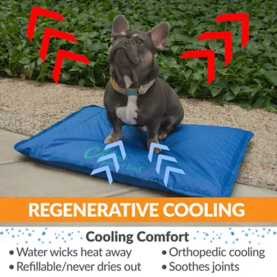 Product K&H Cool Bed III Dog Bed