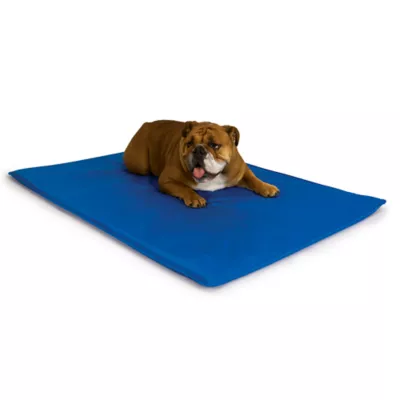 Product K&H Cool Bed III Dog Bed