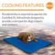 Product K&H Cool Bed III Dog Bed
