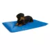 K&H Cool Bed III Dog Bed image thumbnail 1