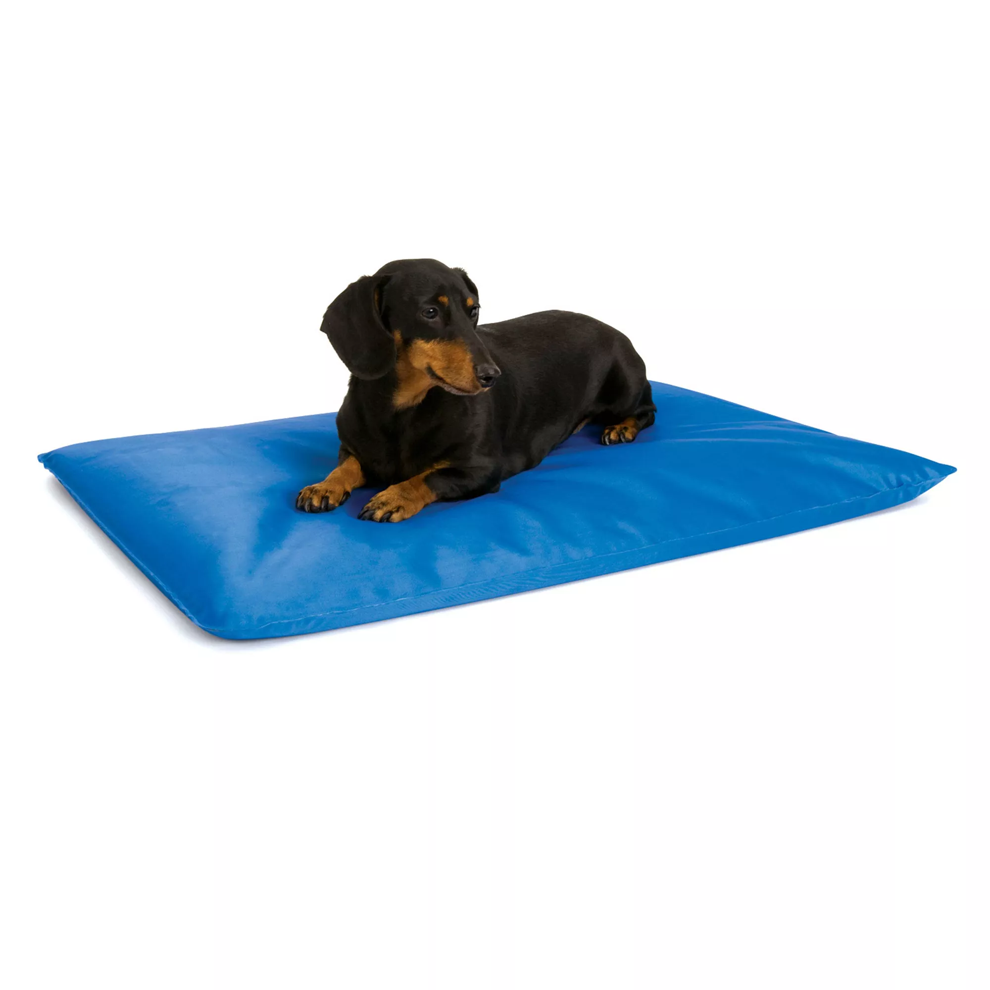 Cool pet pad petsmart hotsell