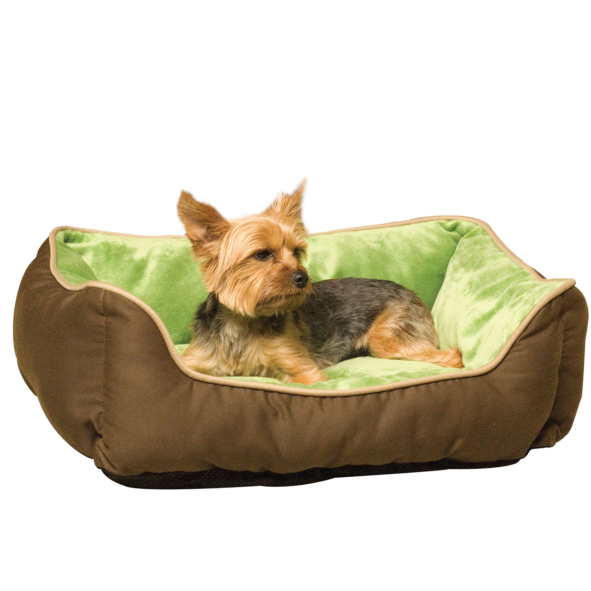 Cooling beds best sale for dogs petsmart