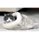 Product Kitty Crinkle Sack Cat Bed