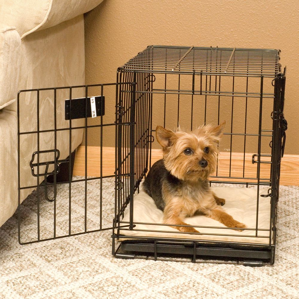 petsmart crate pad