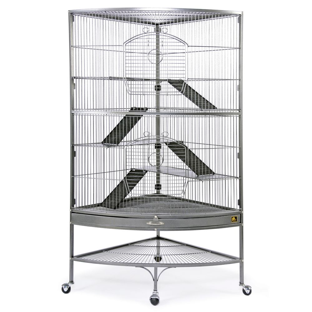 Cheap ferret cages hotsell