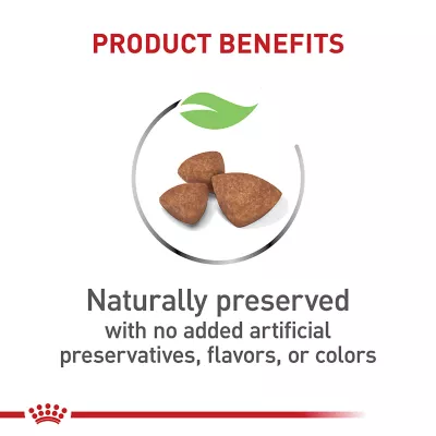 Product Royal Canin Size Health Nutrition X-Small Breed Puppy Dog Dry Food