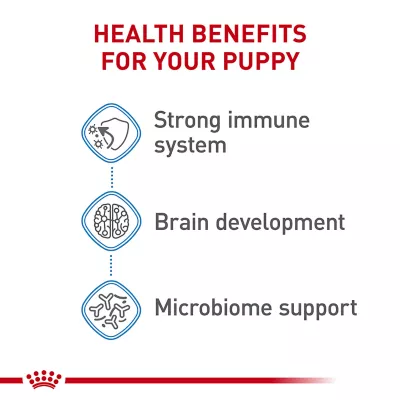 Product Royal Canin Size Health Nutrition X-Small Breed Puppy Dog Dry Food
