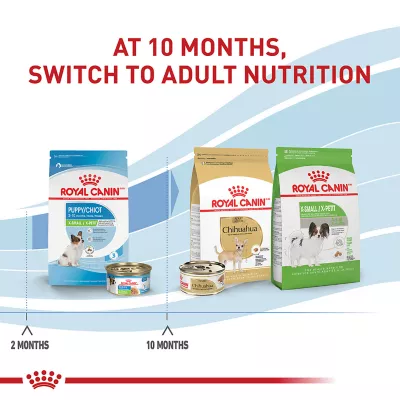 Product Royal Canin Size Health Nutrition X-Small Breed Puppy Dog Dry Food