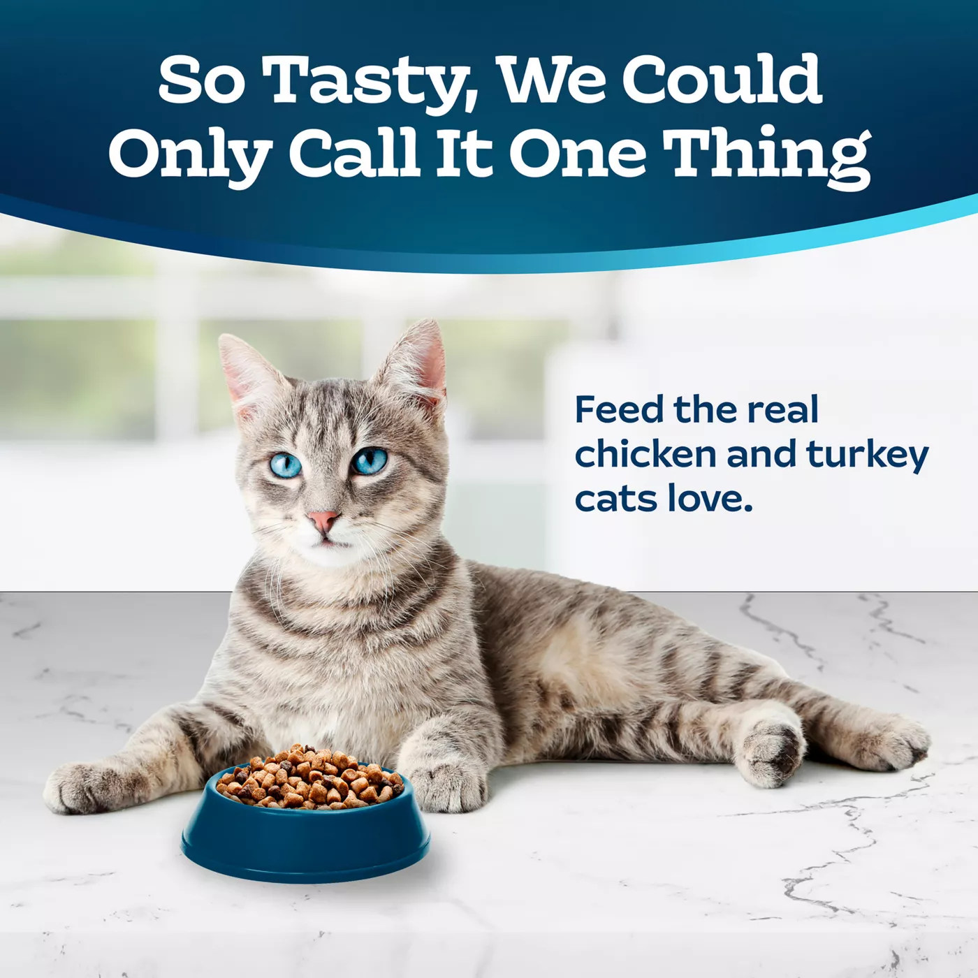 Blue Buffalo Tastefuls Adult Dry Cat Food Natural Chicken Turkey