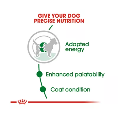 Product Royal Canin Size Health Nutrition Small Breed Adult Dry Dog Food