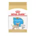 Royal Canin Puppy Dry Dog Food - Chihuahua Breed Health Nutrition , 2.5 lb image thumbnail 1