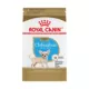 Product Royal Canin® Breed Health Nutrition® Chihuahua Breed Specific Puppy Dog Dry Food - 2.5 lb