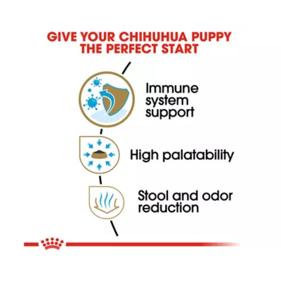 Royal Canin 2.5lb Breed Health Nutrition Chihuahua Puppy Dry Dog Food