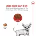 Royal Canin Puppy Dry Dog Food - Chihuahua Breed Health Nutrition , 2.5 lb image thumbnail 4