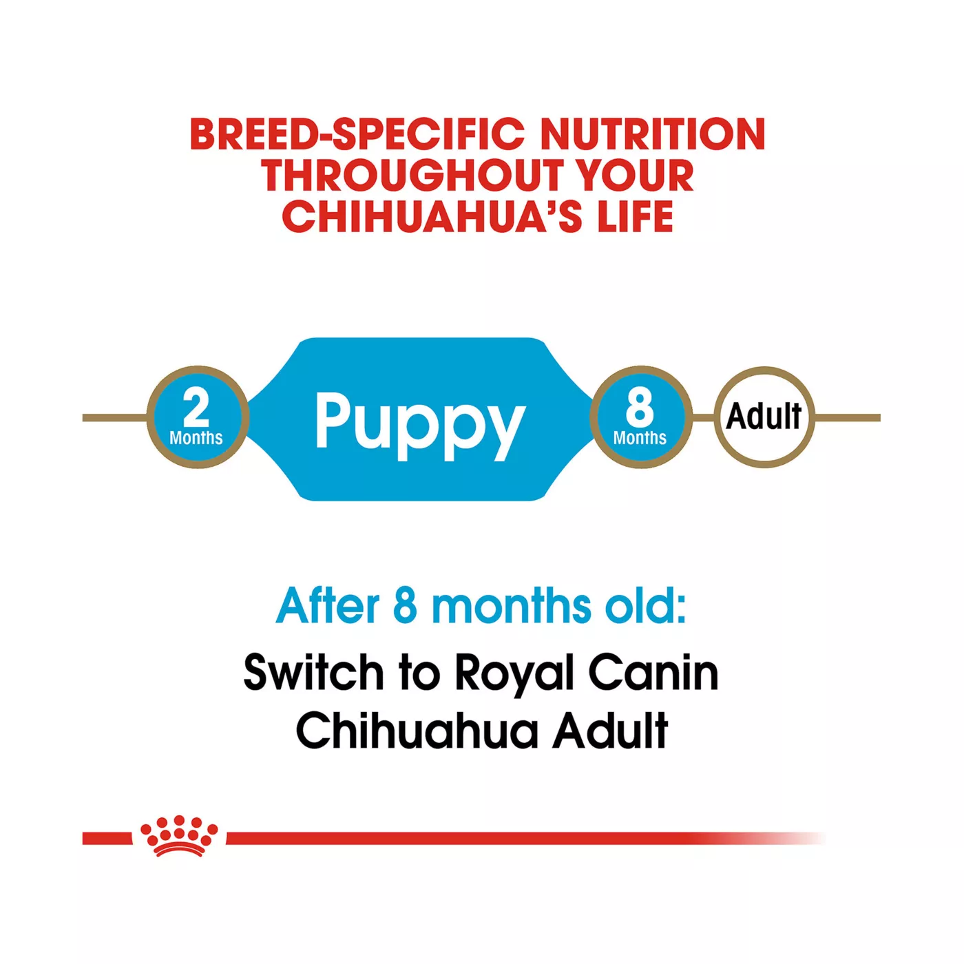 Royal Canin Breed Health Nutrition Chihuahua Breed Specific Puppy Dog Dry Food 2.5 lb