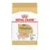 Royal Canin Adult Dry Dog Food - Chihuahua Breed Health Nutrition image thumbnail 1