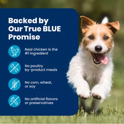 Blue Buffalo Life Protection Formula Healthy Weight Small Breed Chicken Adult Dry Dog Food - Image 8