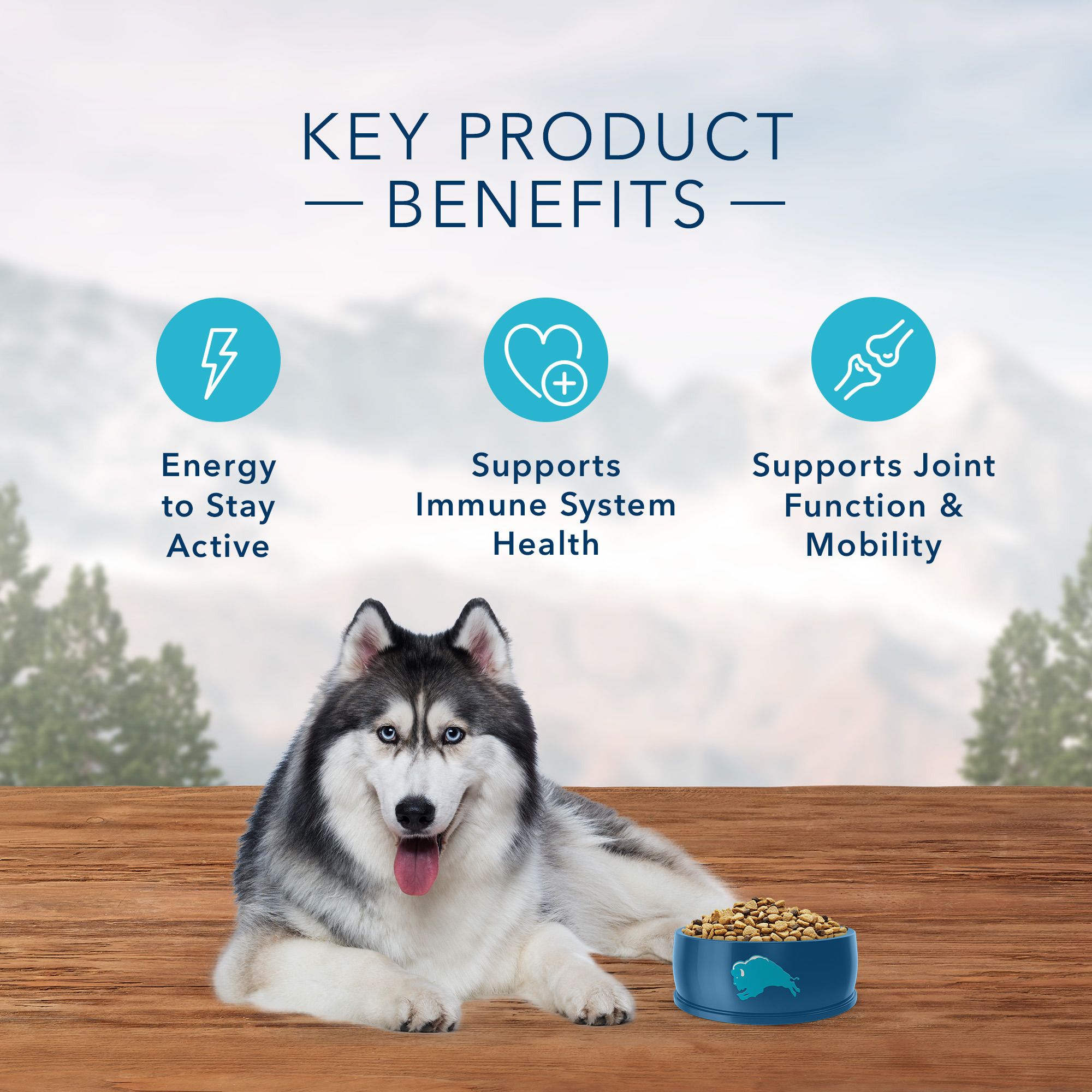wilderness senior dog food