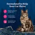 Blue Buffalo Wilderness Adult Wet Cat Food - Grain Free, Pate, 5.5 Oz. image thumbnail 4