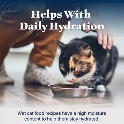Product Blue Buffalo Wilderness Adult Wet Cat Food - Grain Free, Natural