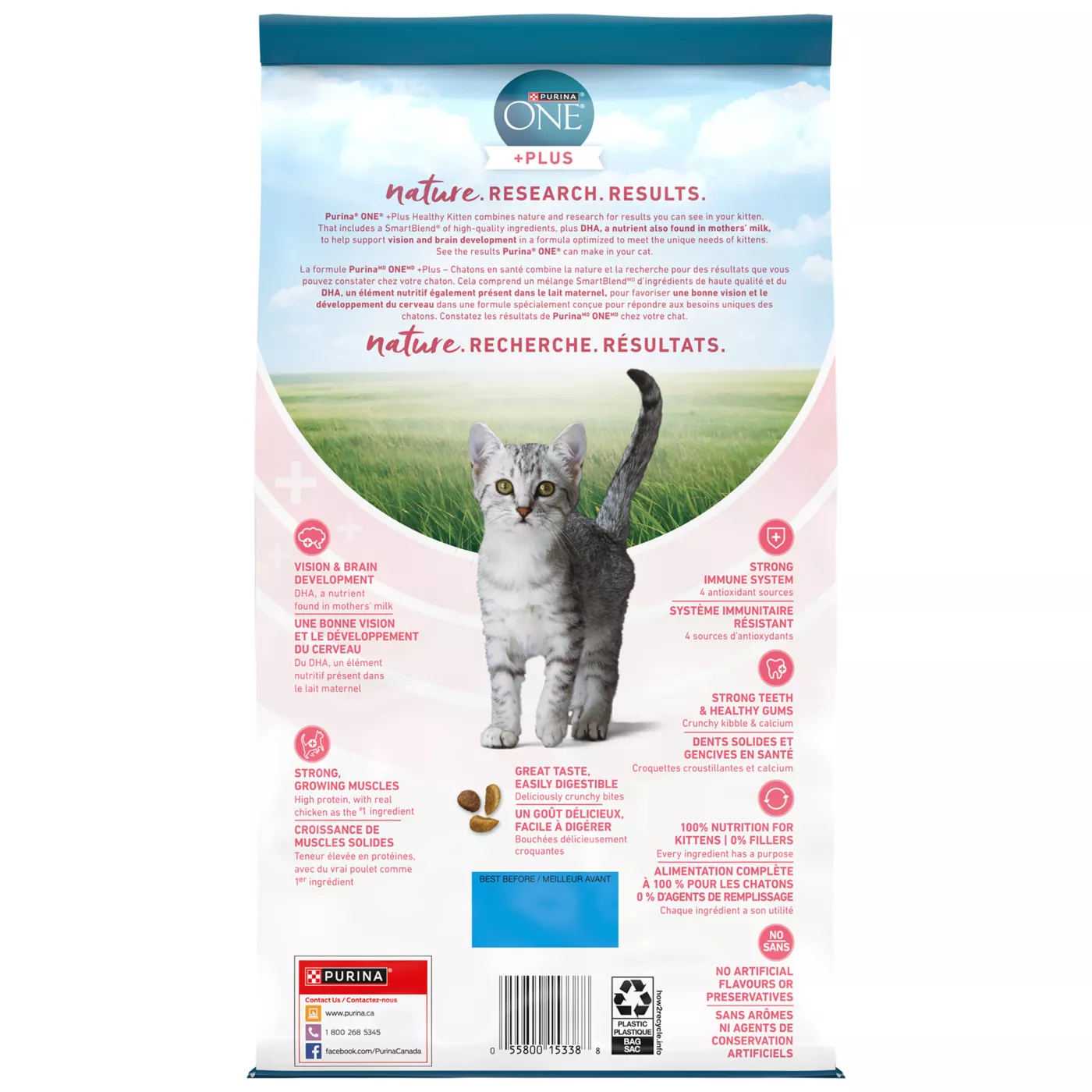 Healthy kitten food hotsell