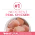 Purina ONE +Plus Dry Kitten Healthy Food - Chicken, 1.8 kg image thumbnail 2