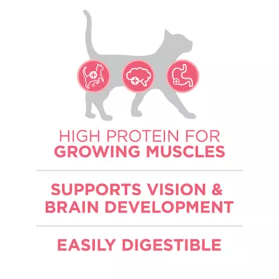 Product  Purina ONE Healthy Kitten food