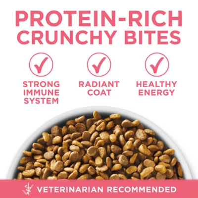 Purina ONE Healthy Kitten food