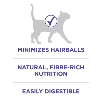 Product Purina ONE Hairball Formula Dry Adult Cat Food