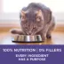 Purina ONE +Plus Dry Cat Food, Hairball Formula - Chicken, 1.8 kg image thumbnail 4