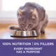 Product Purina ONE Hairball Formula Dry Adult Cat Food