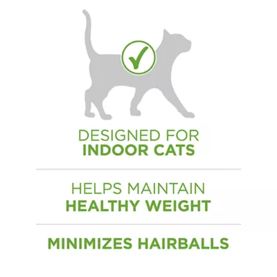 Product Purina ONE +Plus Advantage Indoor Dry Cat Food - Turkey